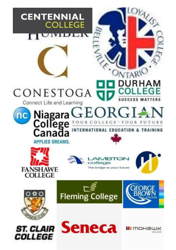 College Pathway Picture.png